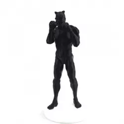 Wildcat - DC Superhero
