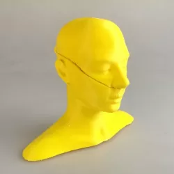 Woman head Box
