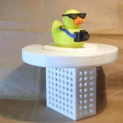 3" Pool Chlorinatior with Tourist Duck Lid