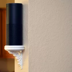 Amazon Echo Alexa Fancy Wall Mount