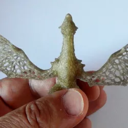 Baby dragon in stile Voronoi