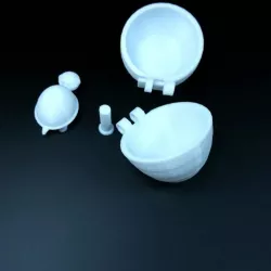 Baby turtle Inside of an egg