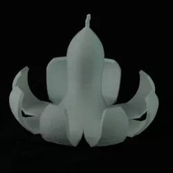 Banana Peel Fruit Bowl