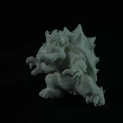 Bowser Mario