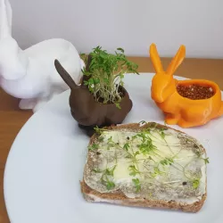 bunny cress-planter