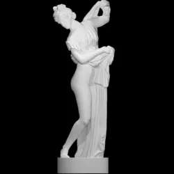 Callipygian Venus