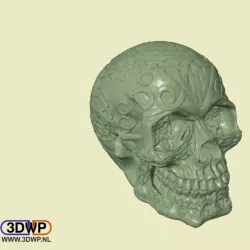 Celtic Skull (Hollow)