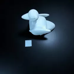 compartment duck