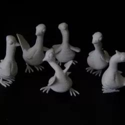 Dancing Pigeons