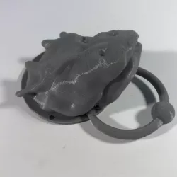Dragon Door Knob