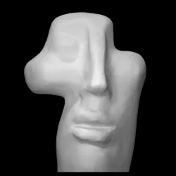 Face