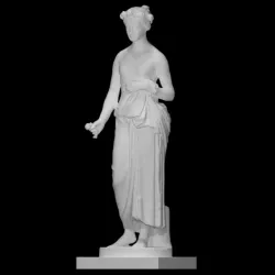 Flora