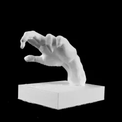 Hand of A Pianist at The Musée Rodin, Paris