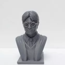 Harry Potter Bust