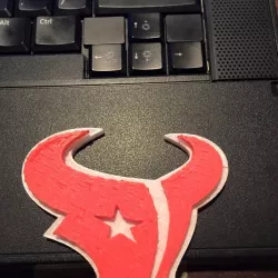 Houston Texans Logo