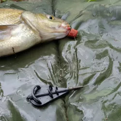 INLINE METHOD FEEDER FISHING