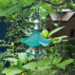 Little Bird Feeder Air Temple