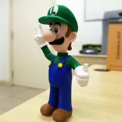 Luigi from Mario games - Multi-color