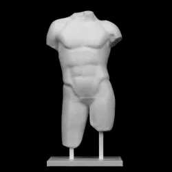 Male Torso at The Réunion des Musées Nationaux, Paris