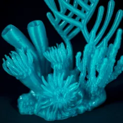 Marmalade Reef