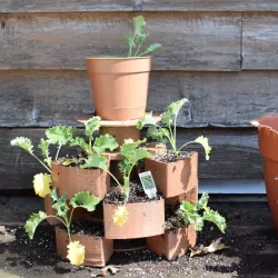 Meltink3d Vertical Spool Garden