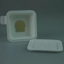 Mono Amplifier Speaker 1