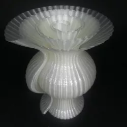 Monocoil Vase