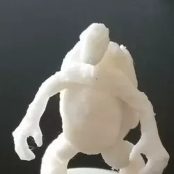 Naked Simple Tortle