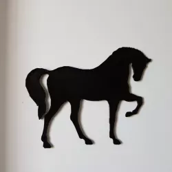 ombre de cheval entier