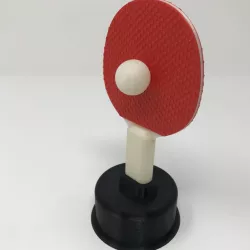 Ping Pong Trophy