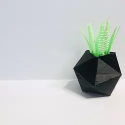 Poly Planter