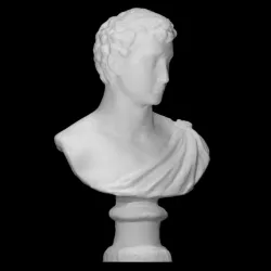 Portrait of a young man
