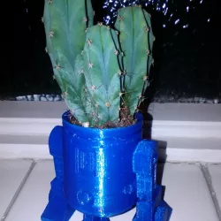 R2D2 Cactus Head