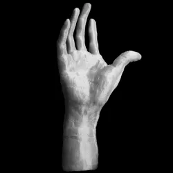 Right Hand of Pierre and Jacques de Wissant at The Musée Rodin, Paris