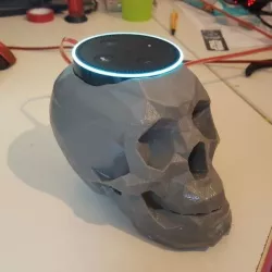 skull echo dot holder alexa