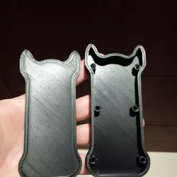 Taser case