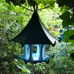 The Light Sky Bird Temple