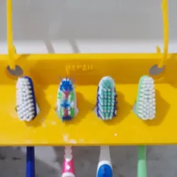 Tooth brush holder