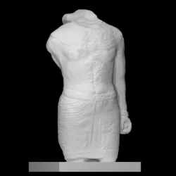 Torso