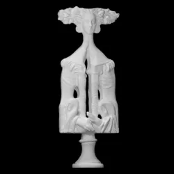 Torso