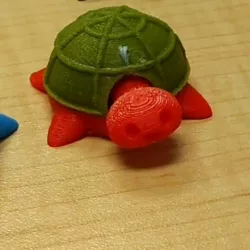 Turtle Bobble Head