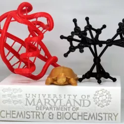 University of Maryland, Chemistry & Biochemistry