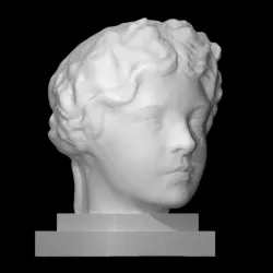 Unknown head