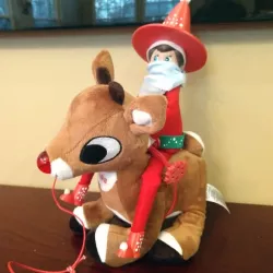 $1.00Elf on the Shelf Cowboy Accessory Pack