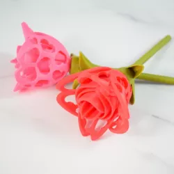 $3.00Cutout Heart Rose