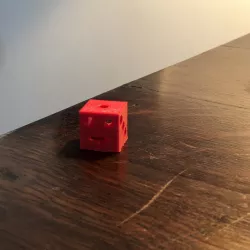 3D Die with Rattling Ball inside