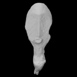 Anthropomorphic mask