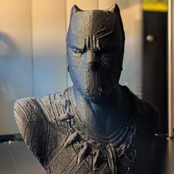 Black Panther Bust (Remix)