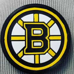 Boston Bruins Drink Coaster