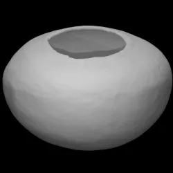 Bottle without neck